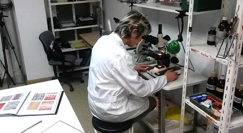 laboratorio 3
